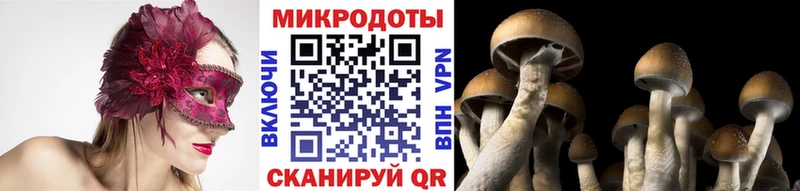 Галлюциногенные грибы мицелий Краснодар